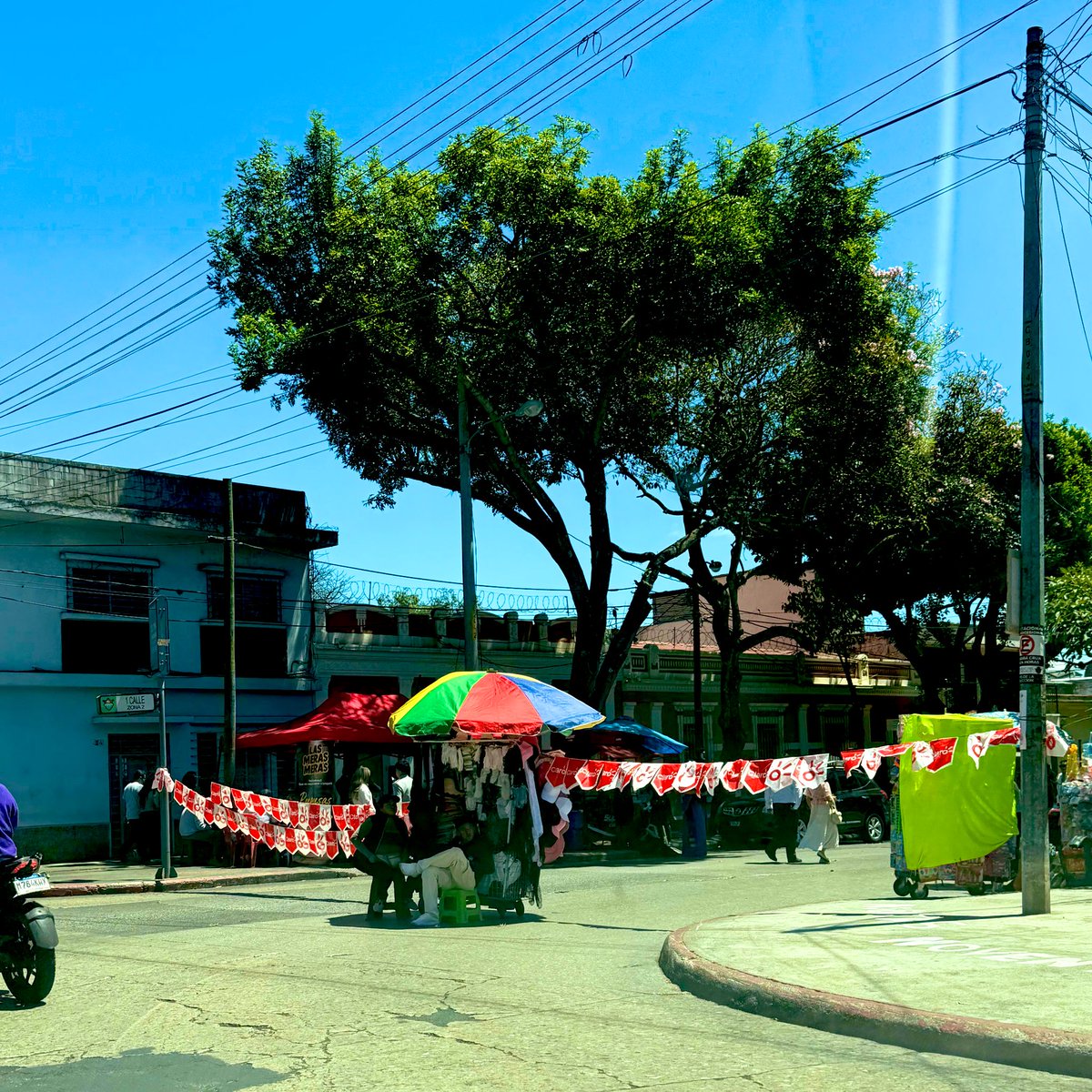 LiberalGt tweet media