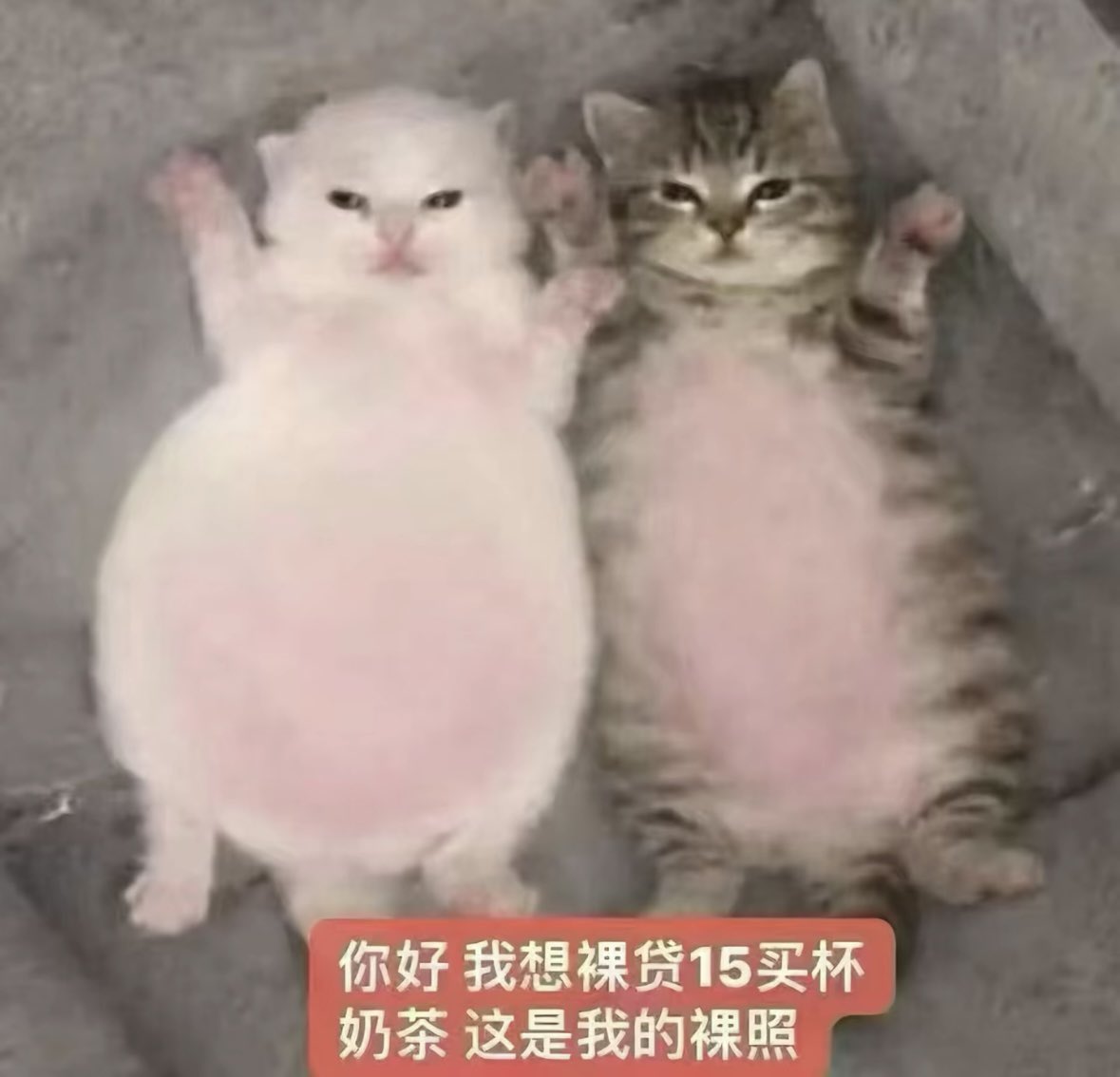死一样的痛过 tweet media