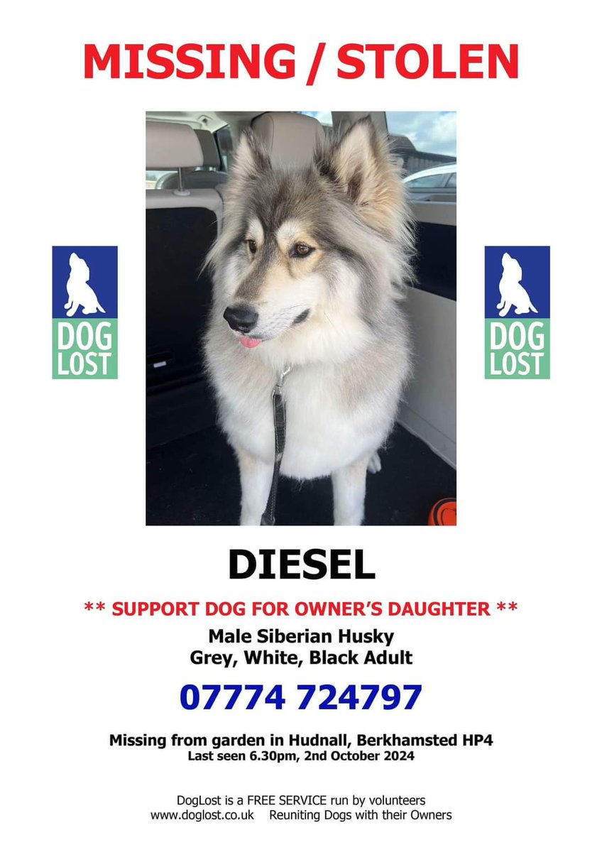 Missing Pets GB tweet media