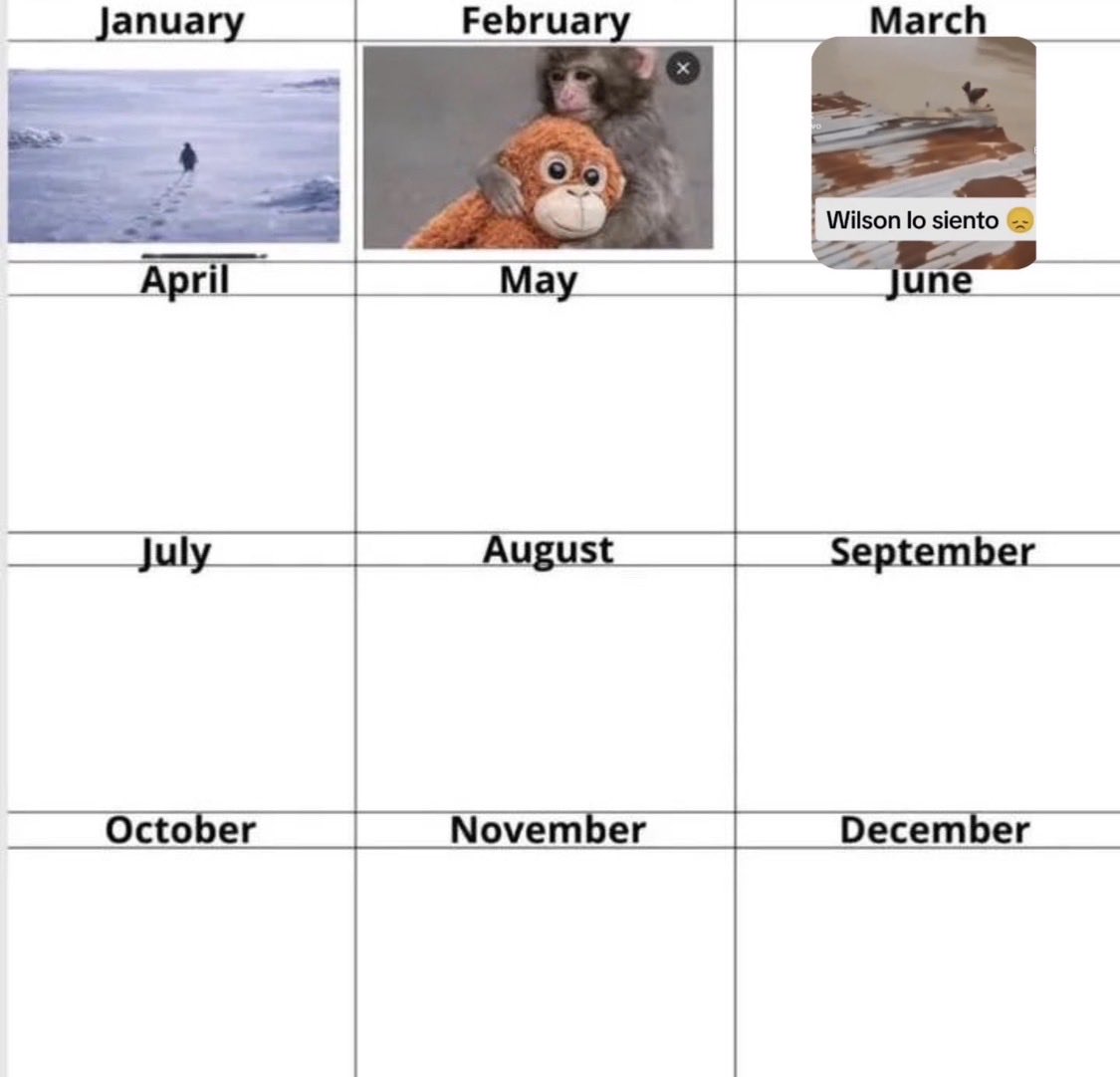 Qubitist tweet media