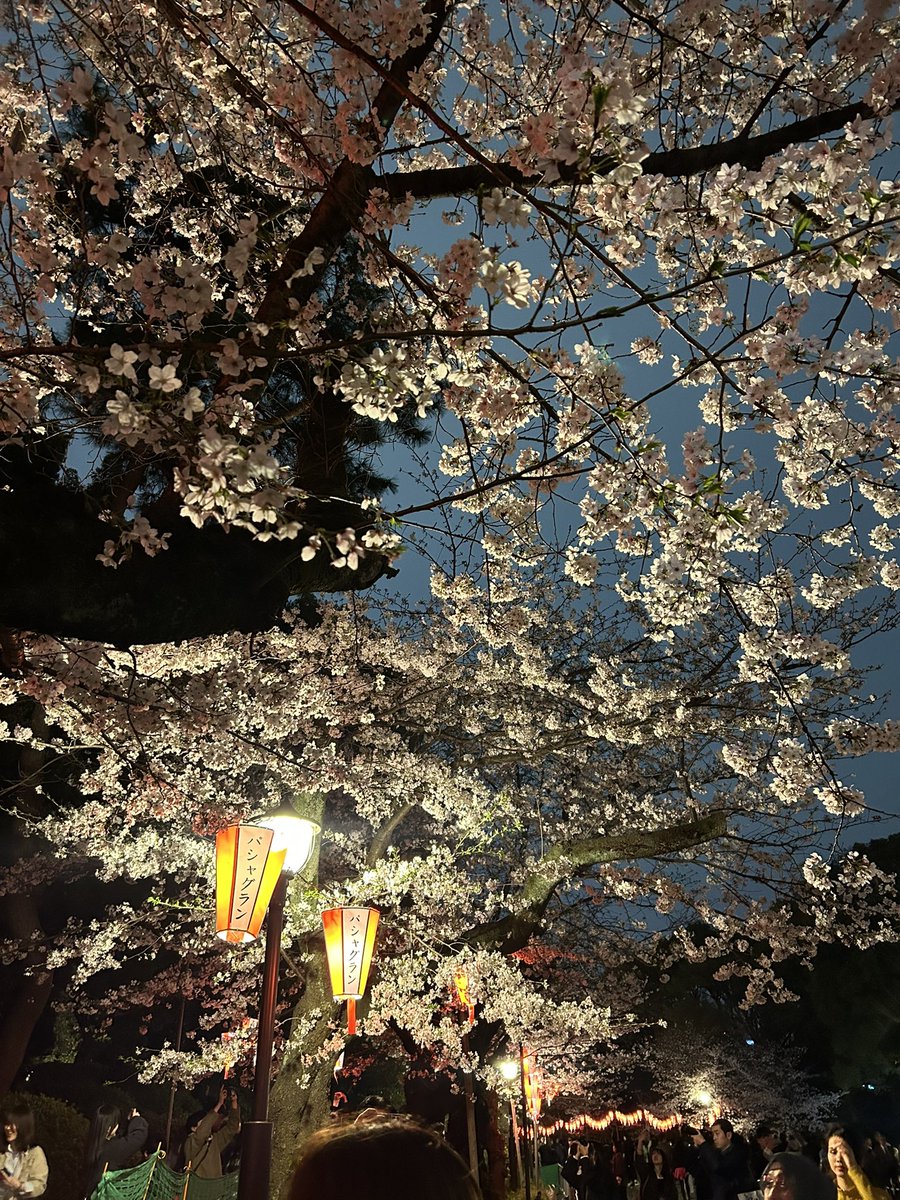 ♡あやぽち♡ tweet media