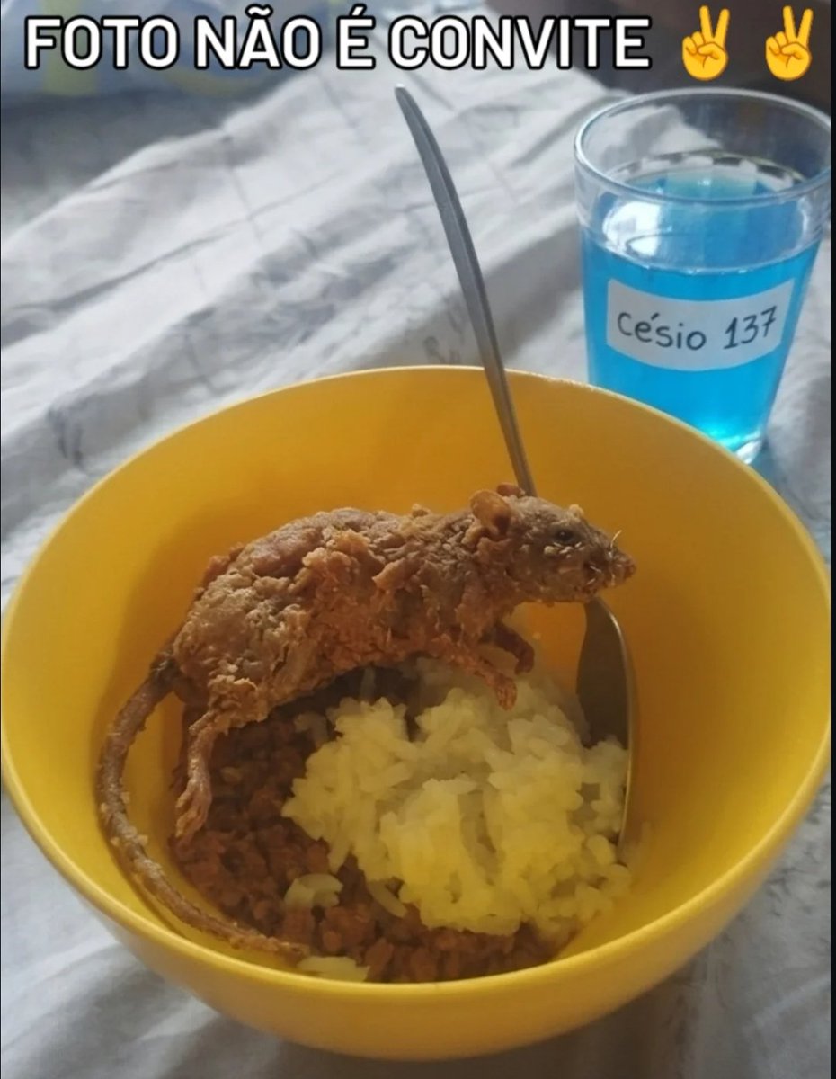 Nego da cacheta tweet media