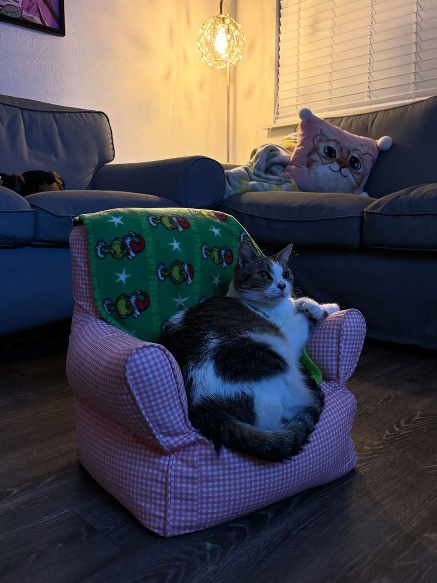 only cute things tweet media