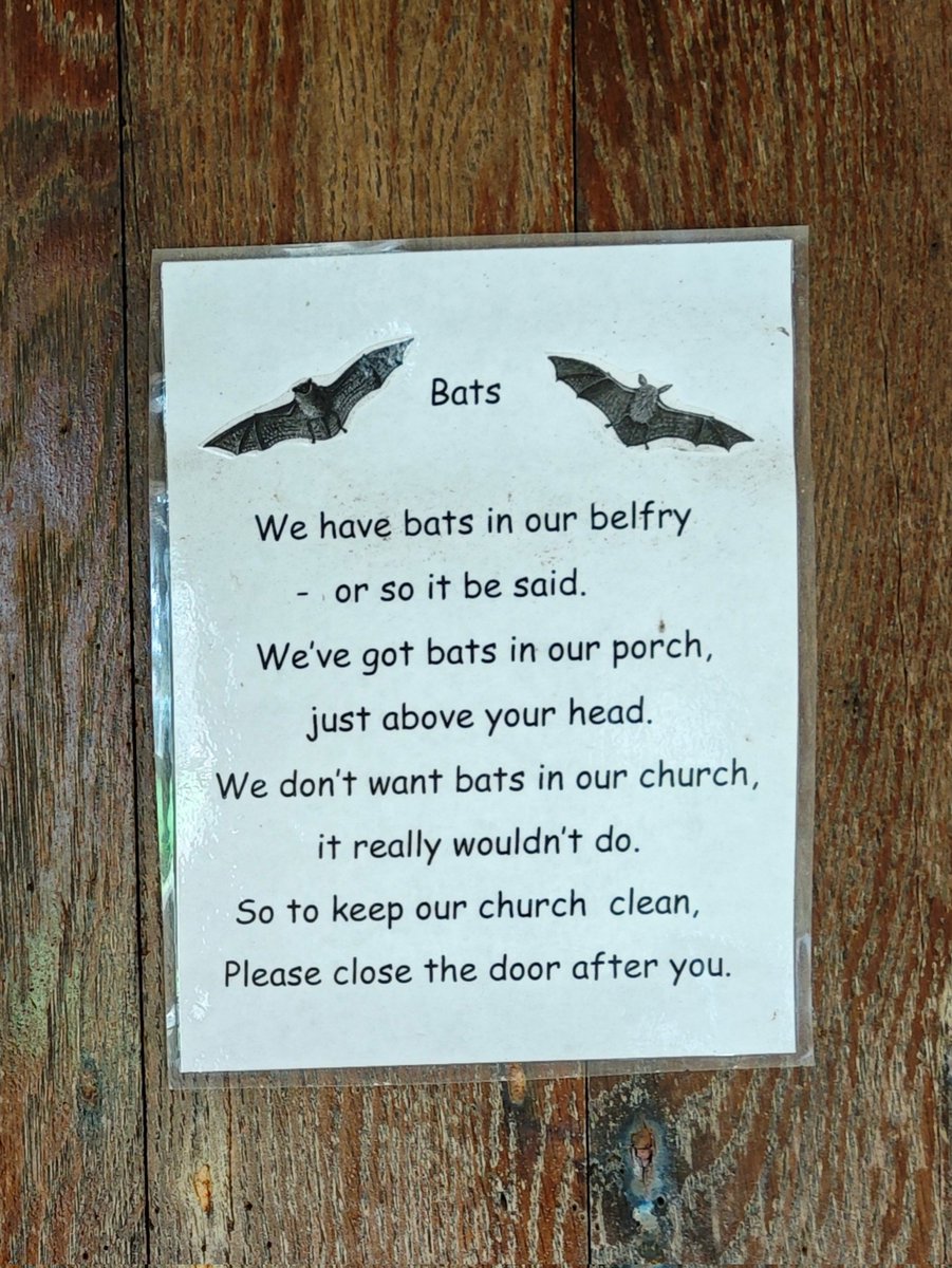barry_wizard's tweet image. Made me giggle 
#bats
#SignsOnSunday