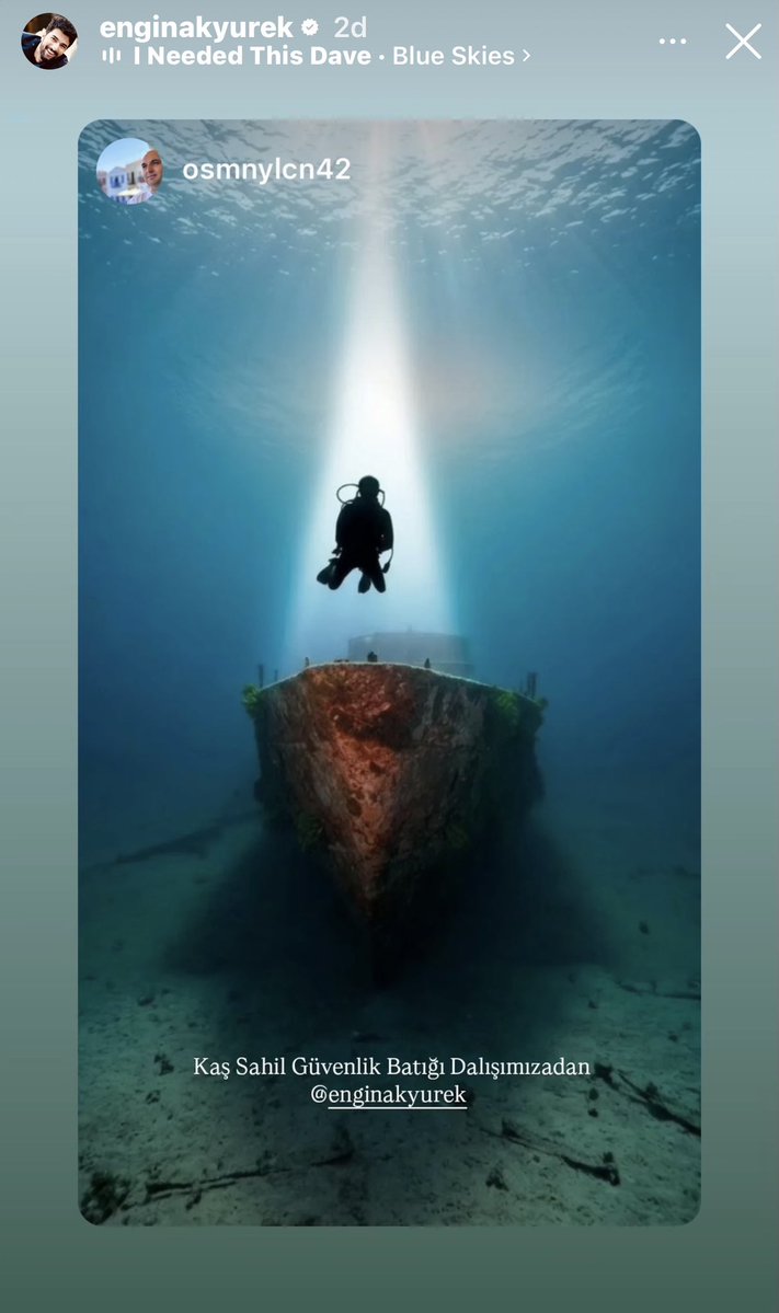 Pinokyonun Mavisi tweet media