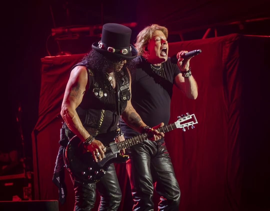 Slash Army Austria 🇦🇹 tweet media