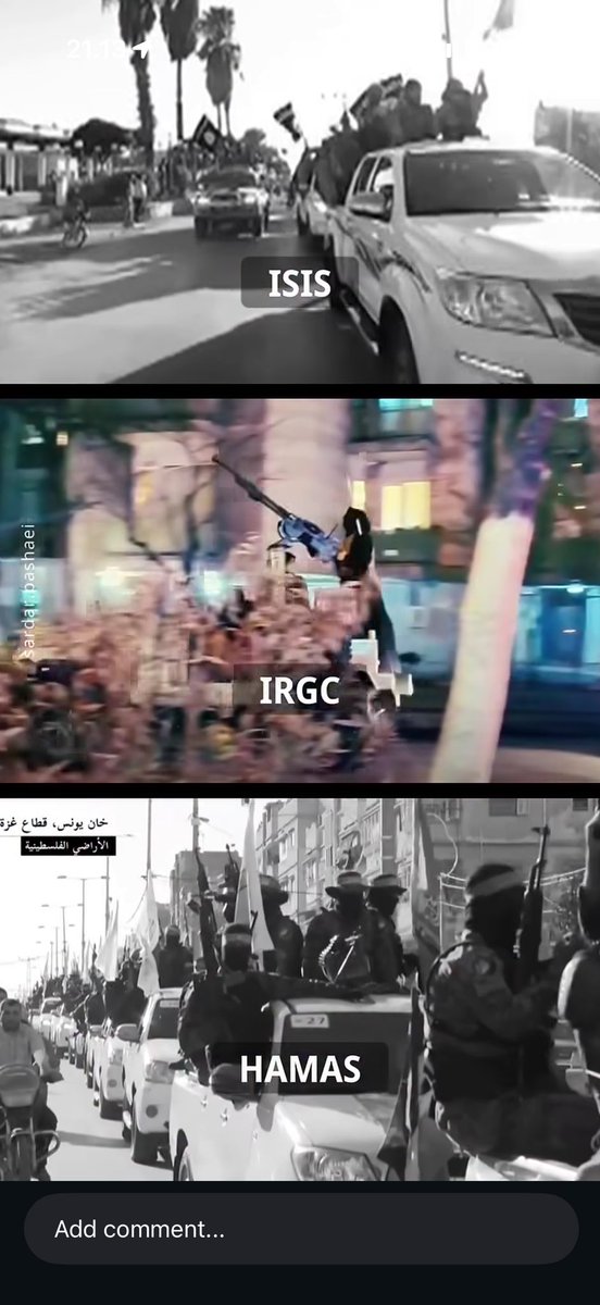 Sean 🇮🇷 tweet media