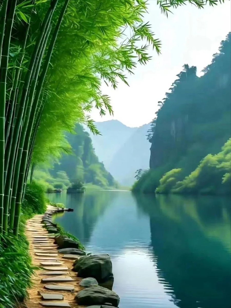 najai anderson tweet media