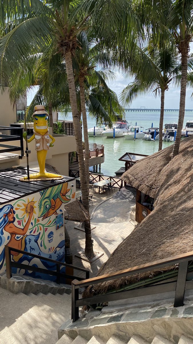 Gerardo Navarrete - MEX 🇲🇽 tweet media