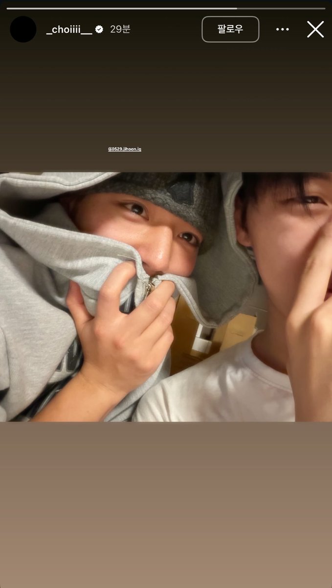 대홍단감자 tweet media