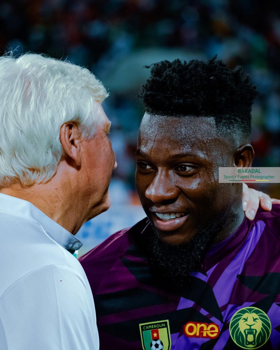 AllezLesLions tweet media