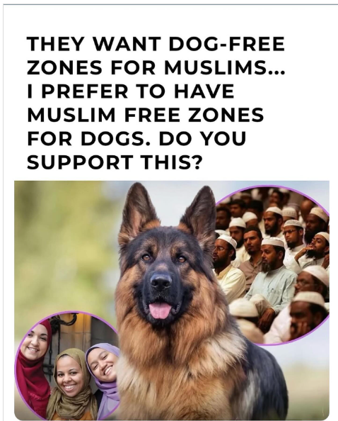 The Christian Nationalist Party tweet media