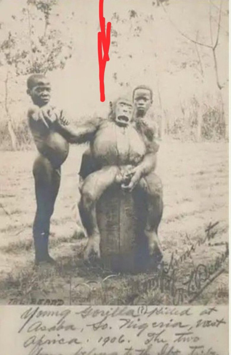 THE COMRADE tweet media