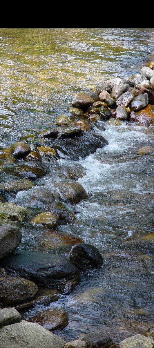 Guissepie31393's tweet image. Moses parted the sea.  Jesus walked upon the water.

I slipped on the rocks and fell into the creek. We are not the same, though we spread the same message. 

     #creek   #message