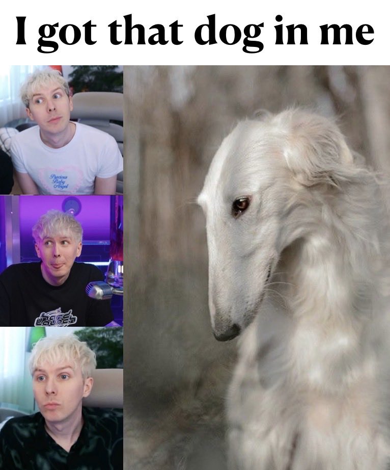 V!! ⚞•⚟ tweet media