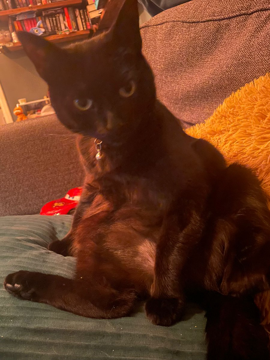 Angel Annie. tweet media