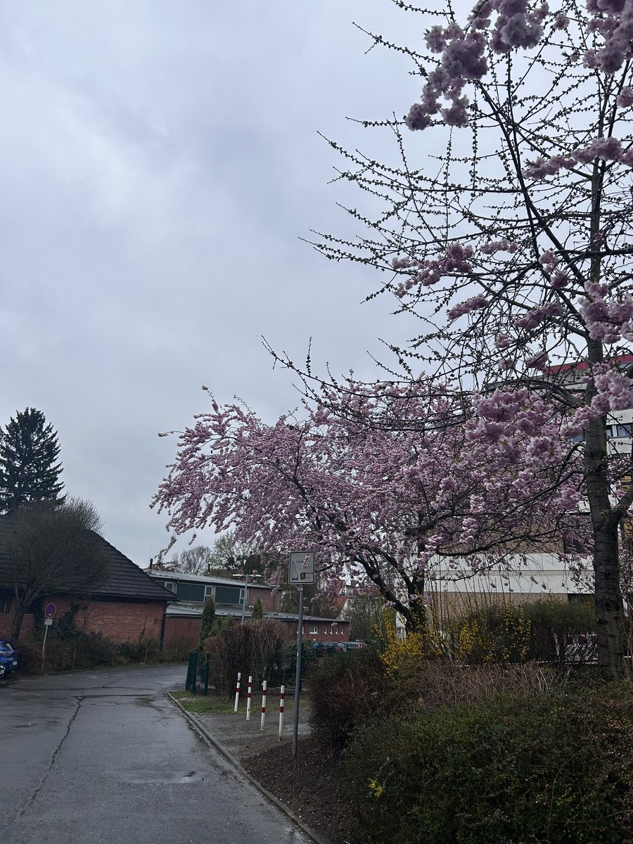 peace is coming tweet media