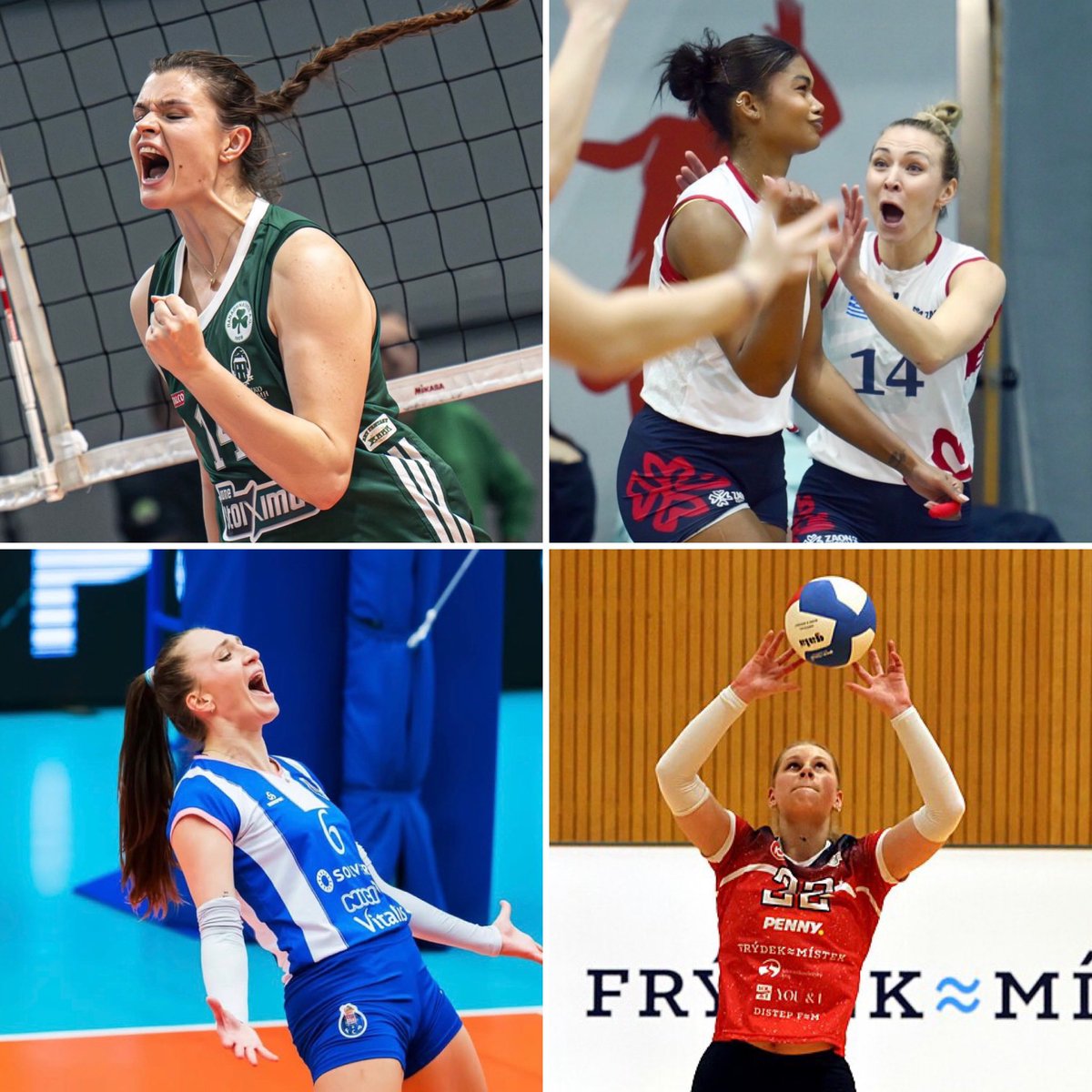 VolleyViper tweet media