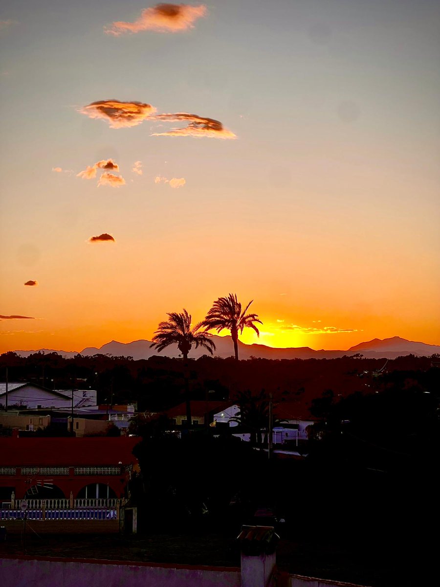 Pat 🦚👑 tweet media