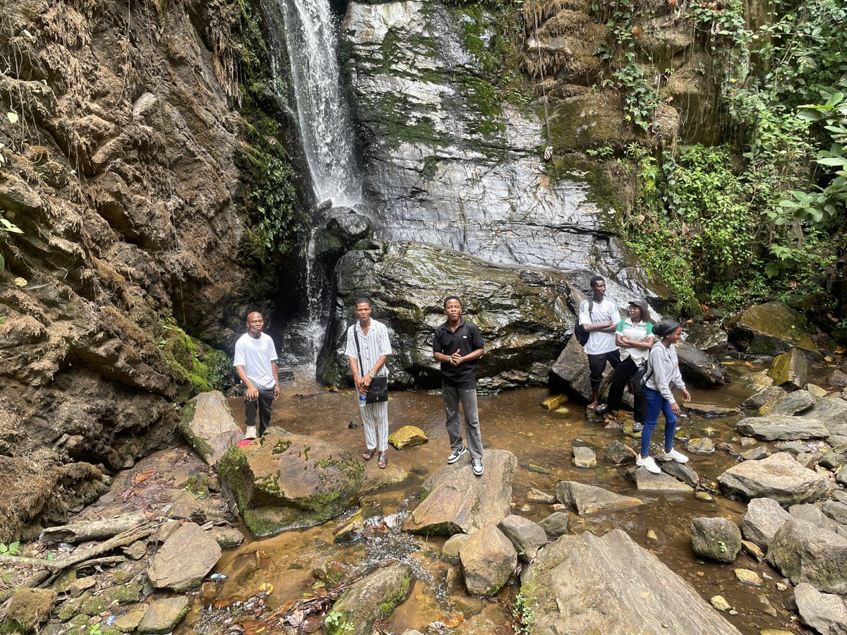 Peter | Website Developer tweet media