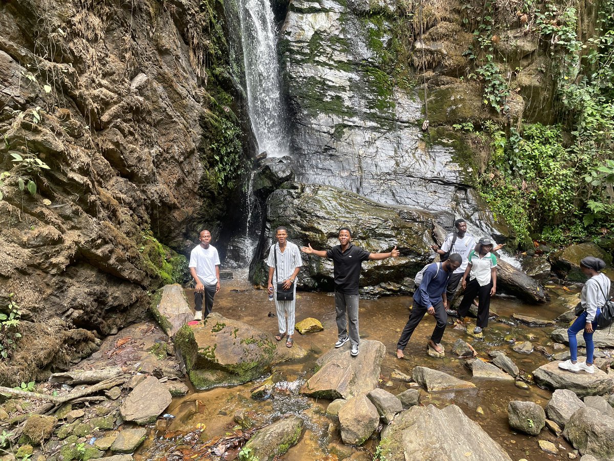 Peter | Website Developer tweet media