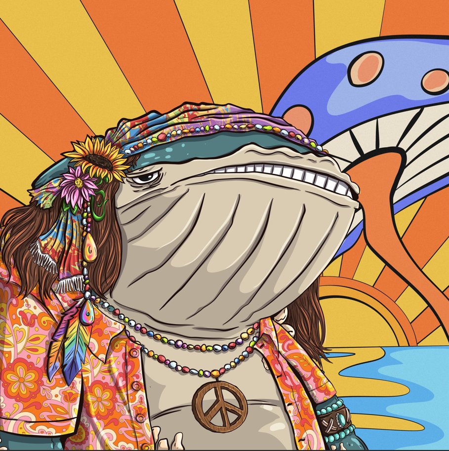 SolShiva🤝 tweet media