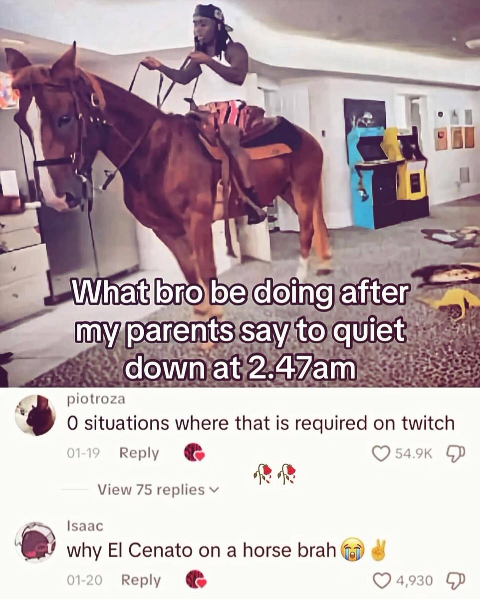 Braindead Bird App tweet media