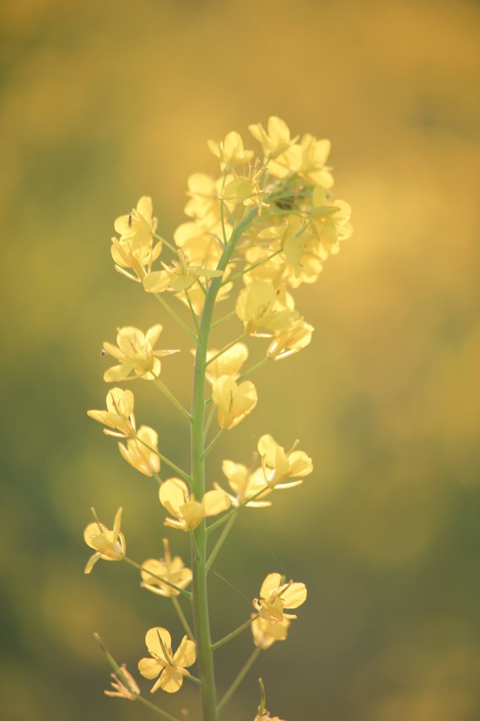 つきぞら☪* tweet media