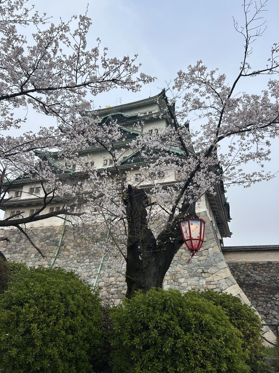 つっちー② tweet media