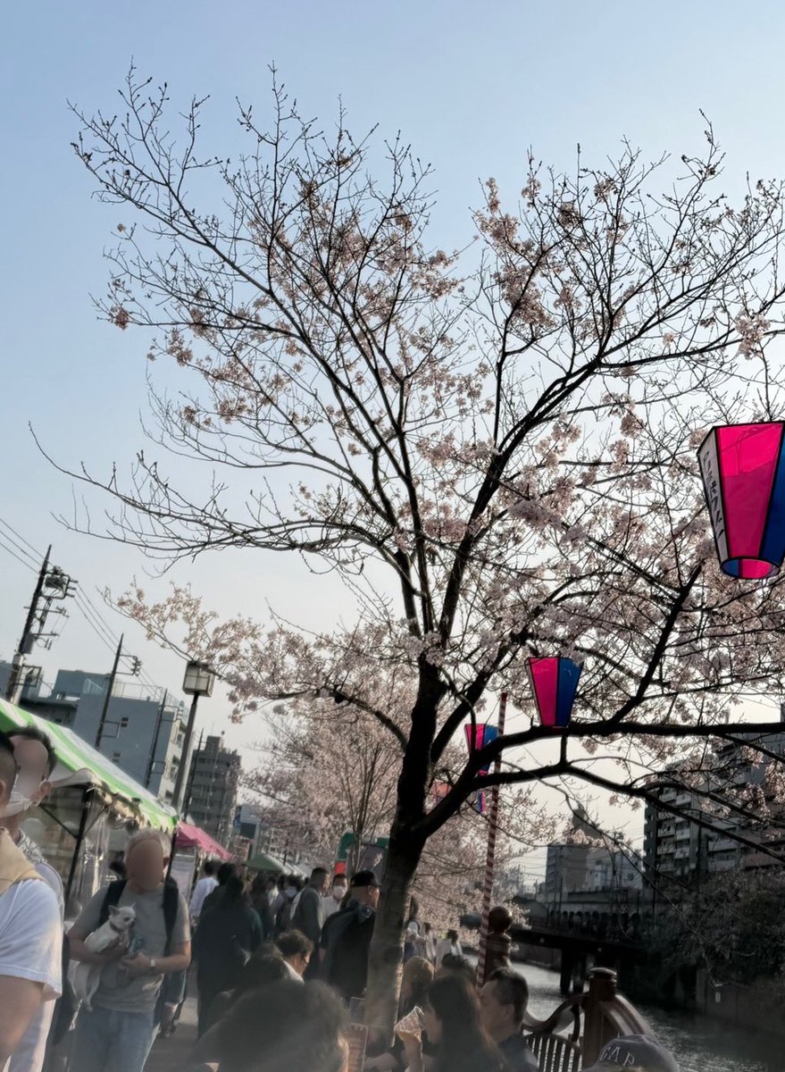 つっちー② tweet media