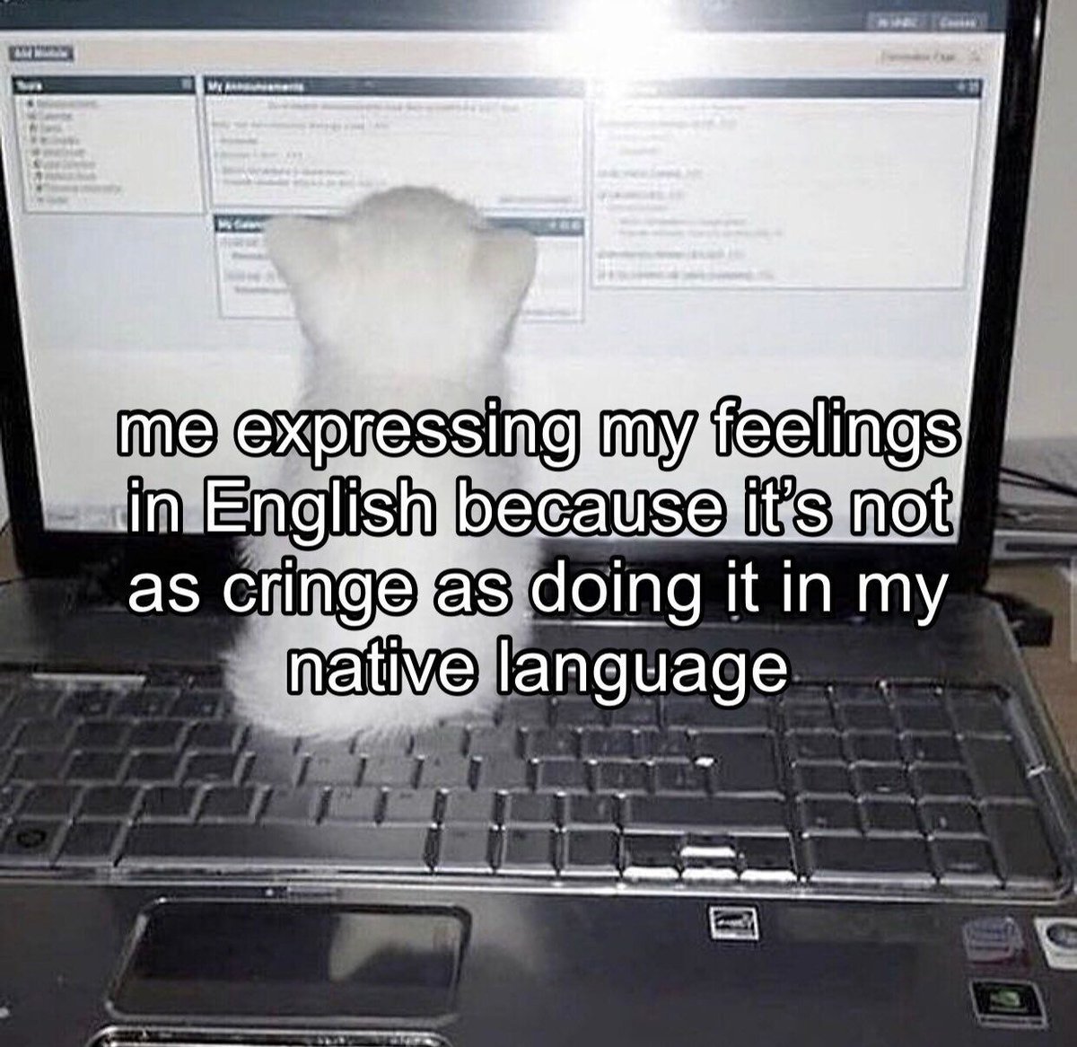 a broken soul tweet media