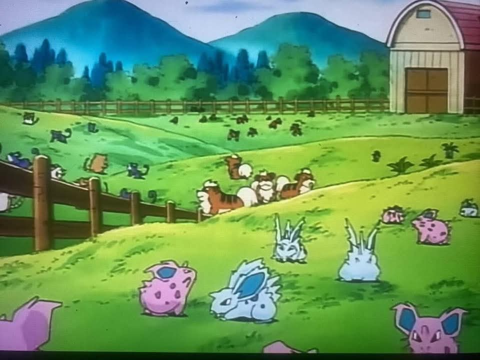 MAGIKARP๐ฆ๐ฆ tweet media