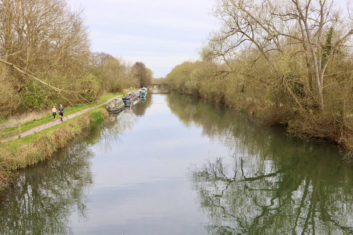 Sarah coxh tweet media