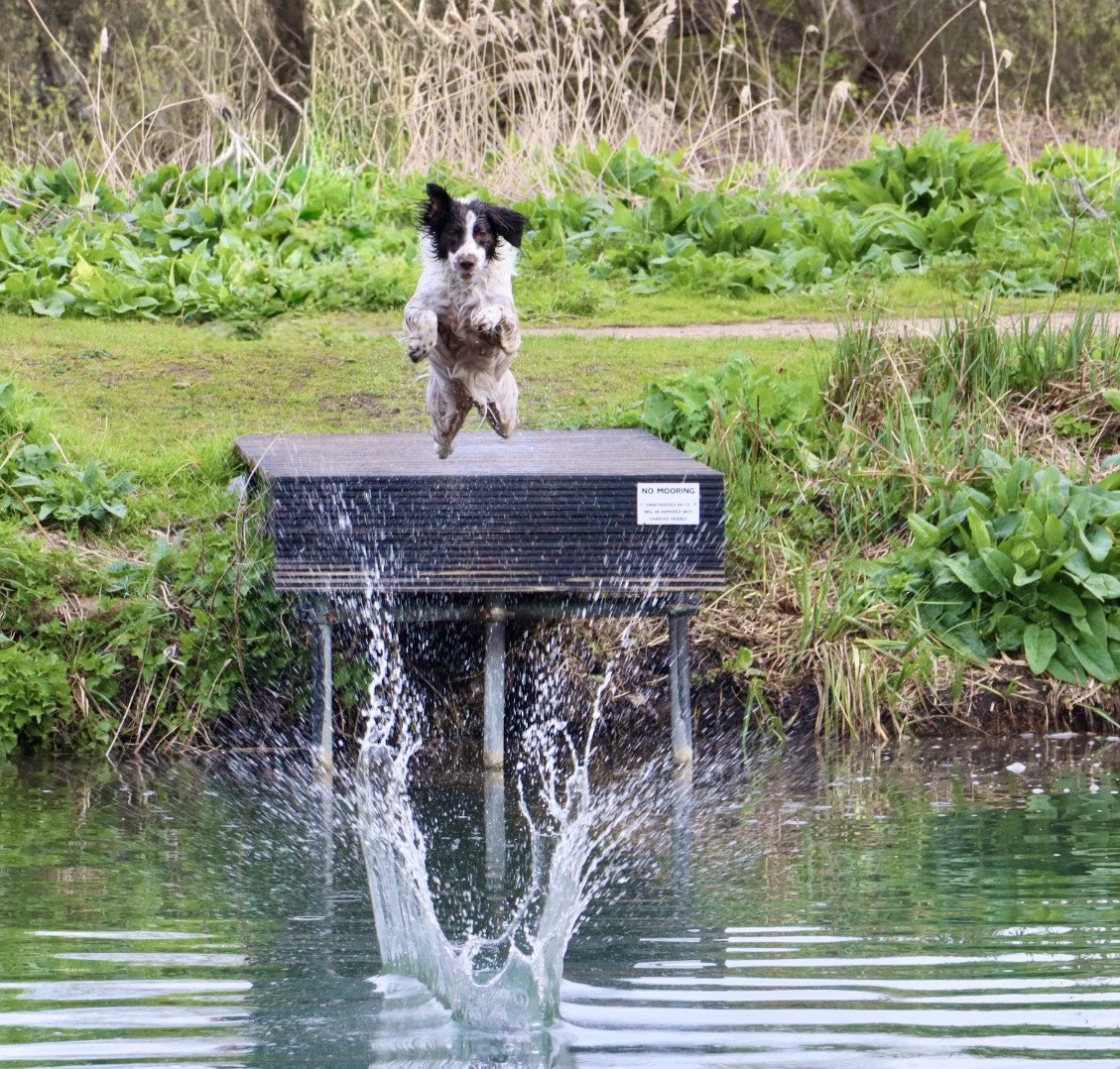 Sarah coxh tweet media