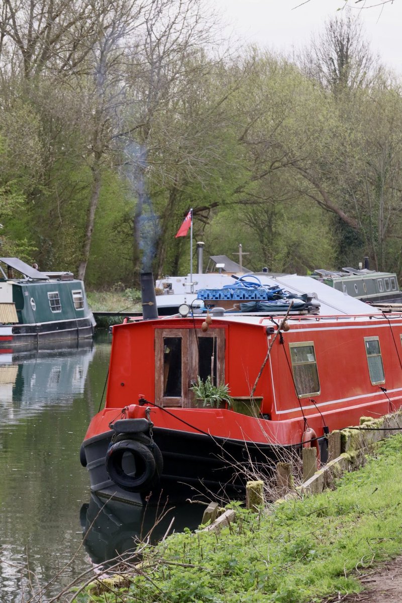 Sarah coxh tweet media