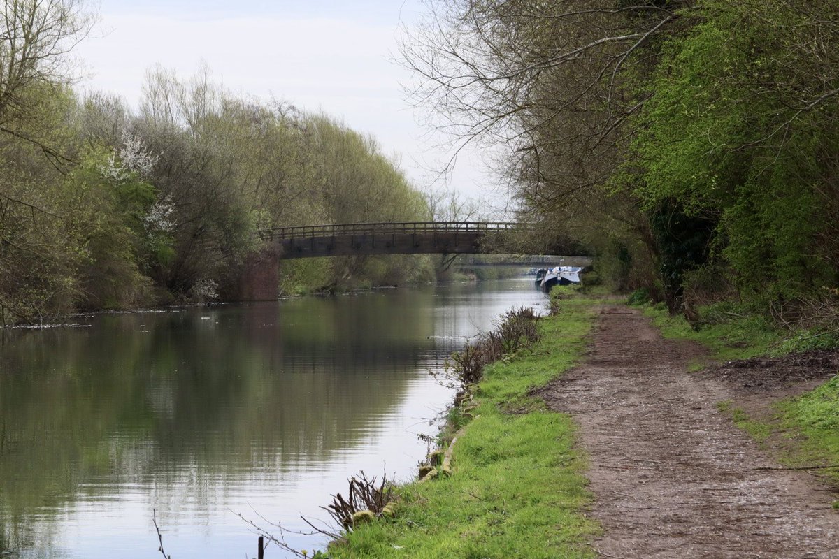 Sarah coxh tweet media