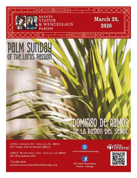 StViatorChi tweet media