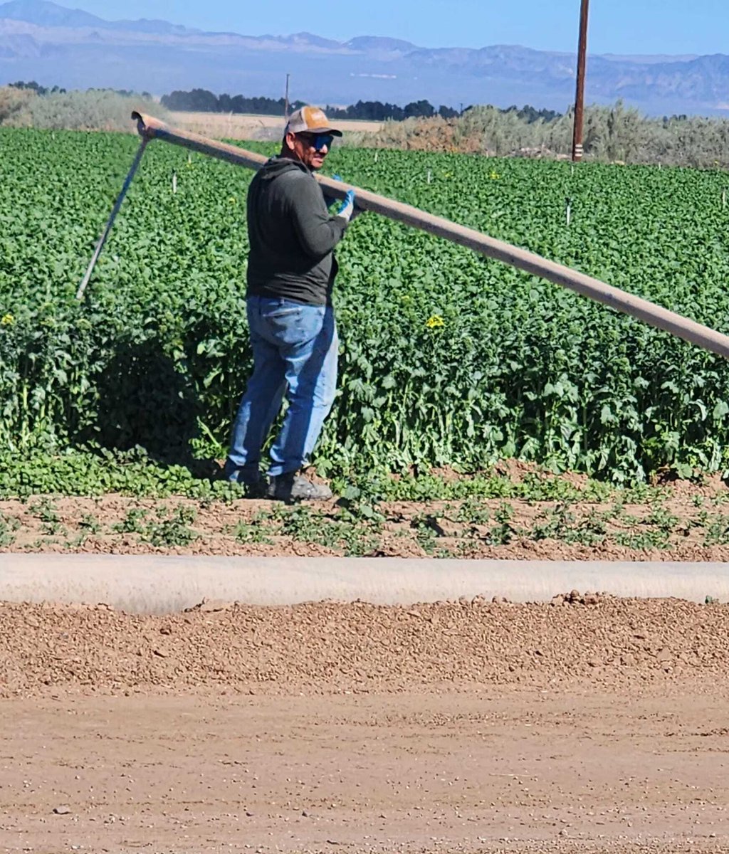United Farm Workers tweet media