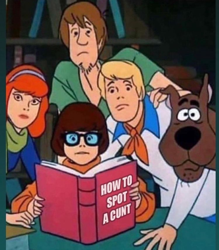 Barklife 🐕 tweet media