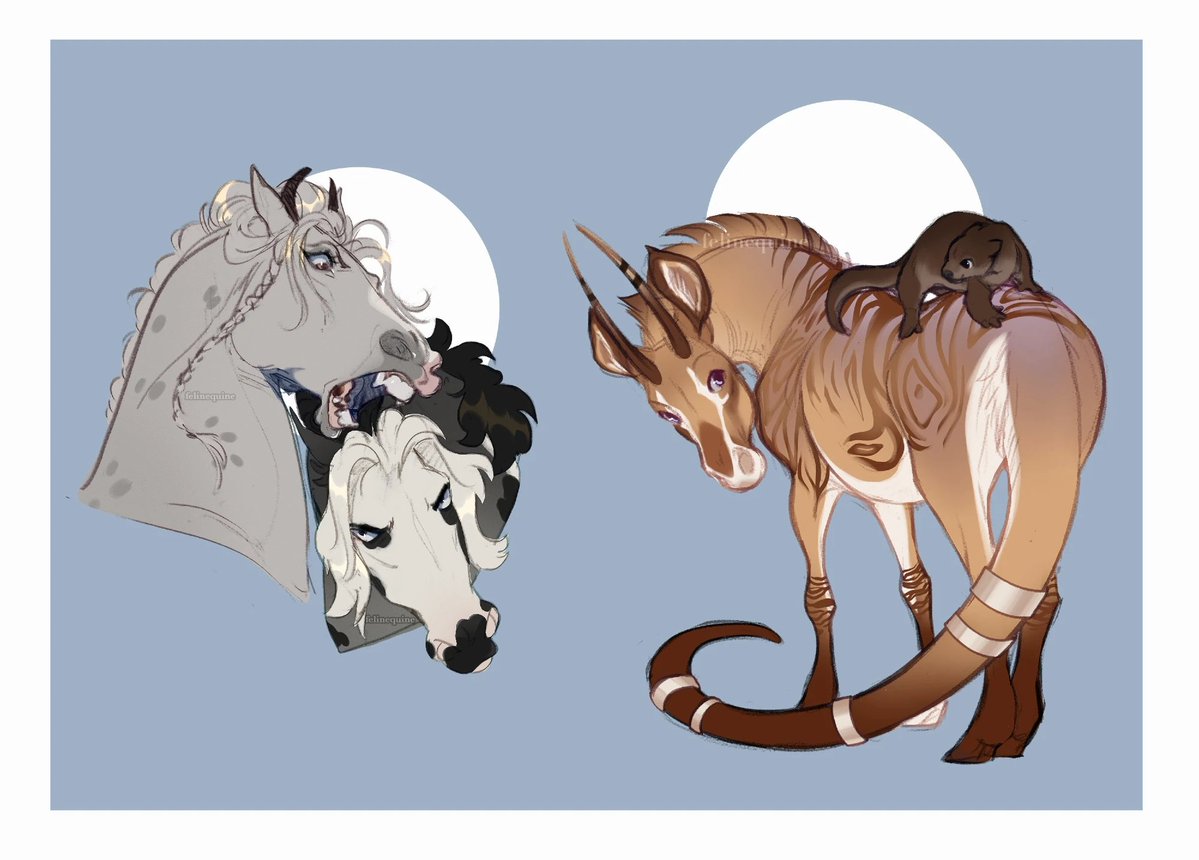 FINNKY! 🐾 tweet media