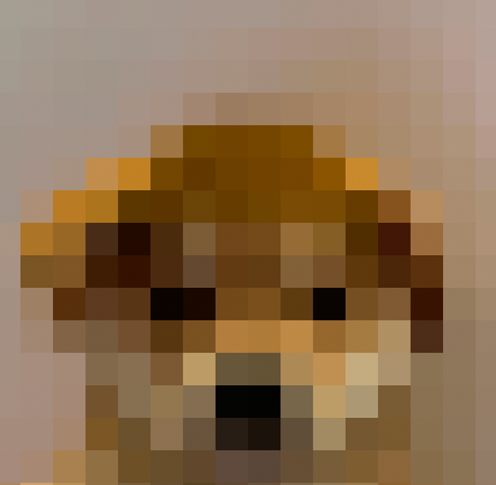 justachilldevv's tweet photo. lets run pixel dog https://t.co/Zbt0etNABk