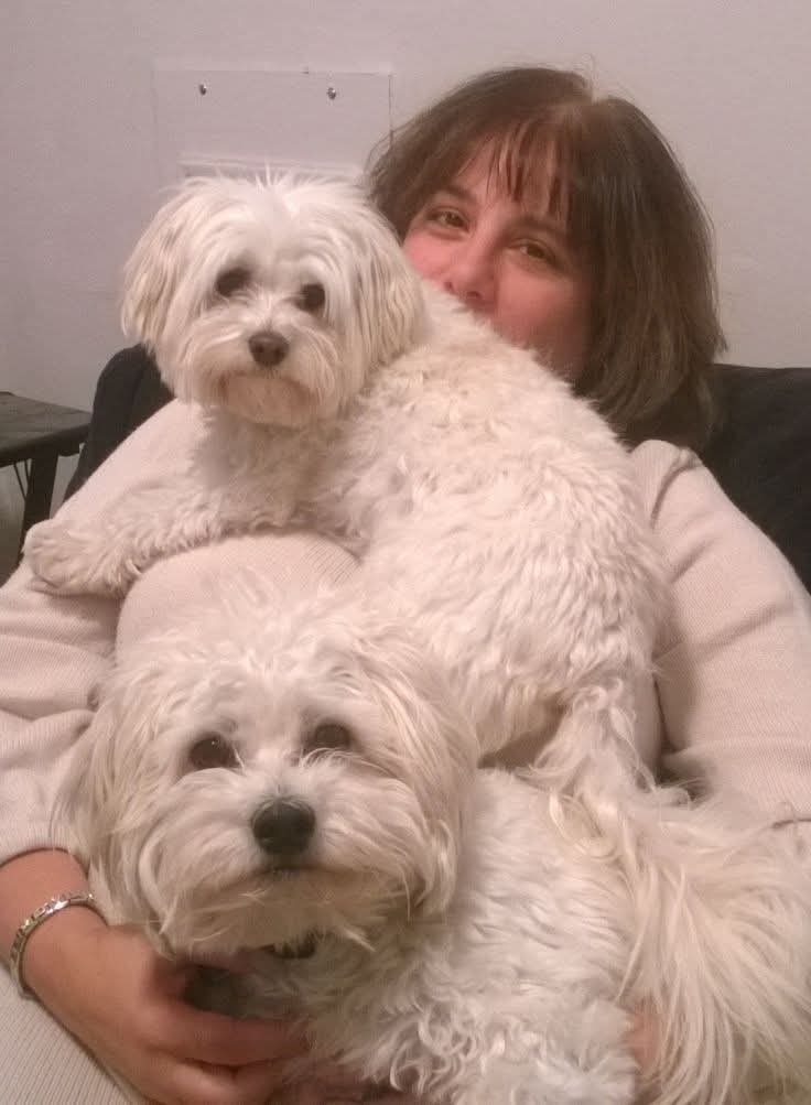 Sara Mary ⭐❤️ tweet media