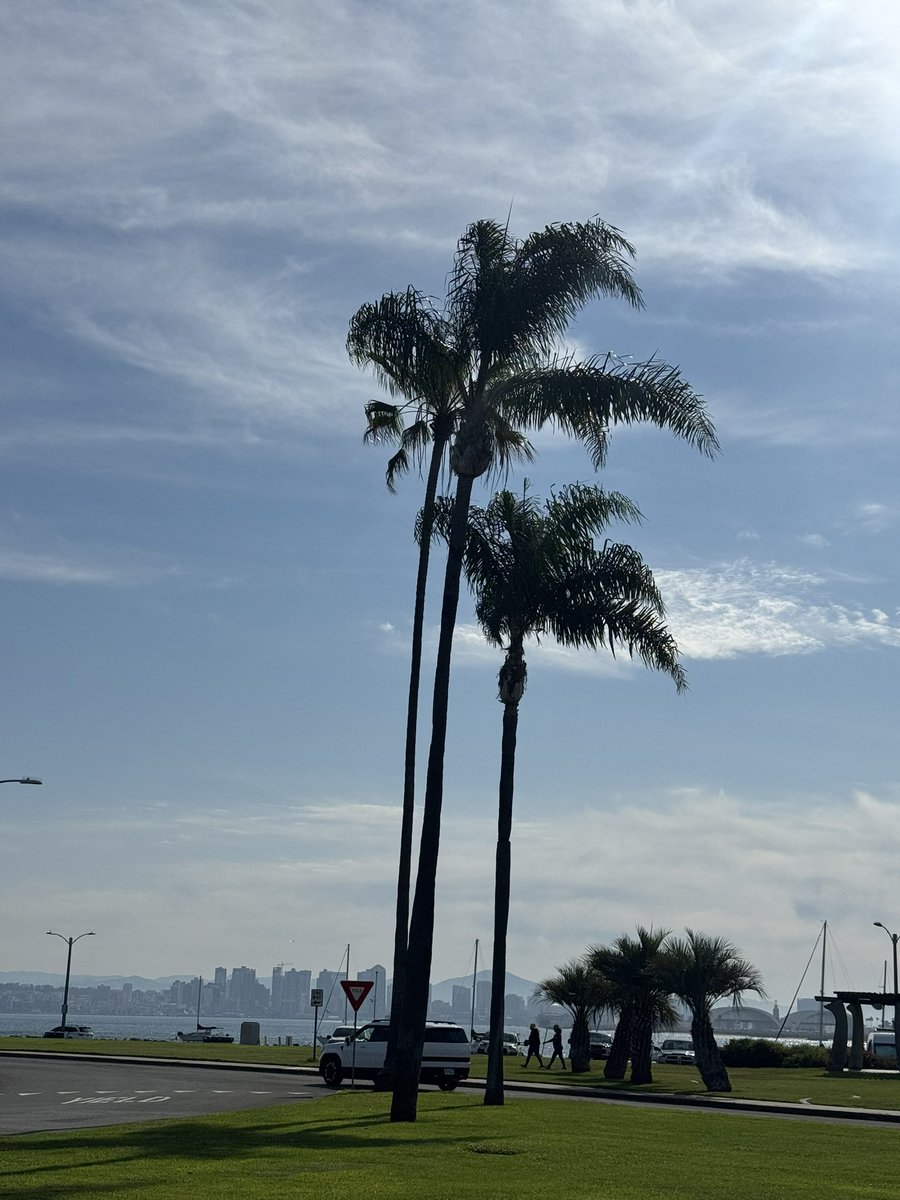 Coach Hop tweet media