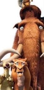 Wonder of who? tweet media