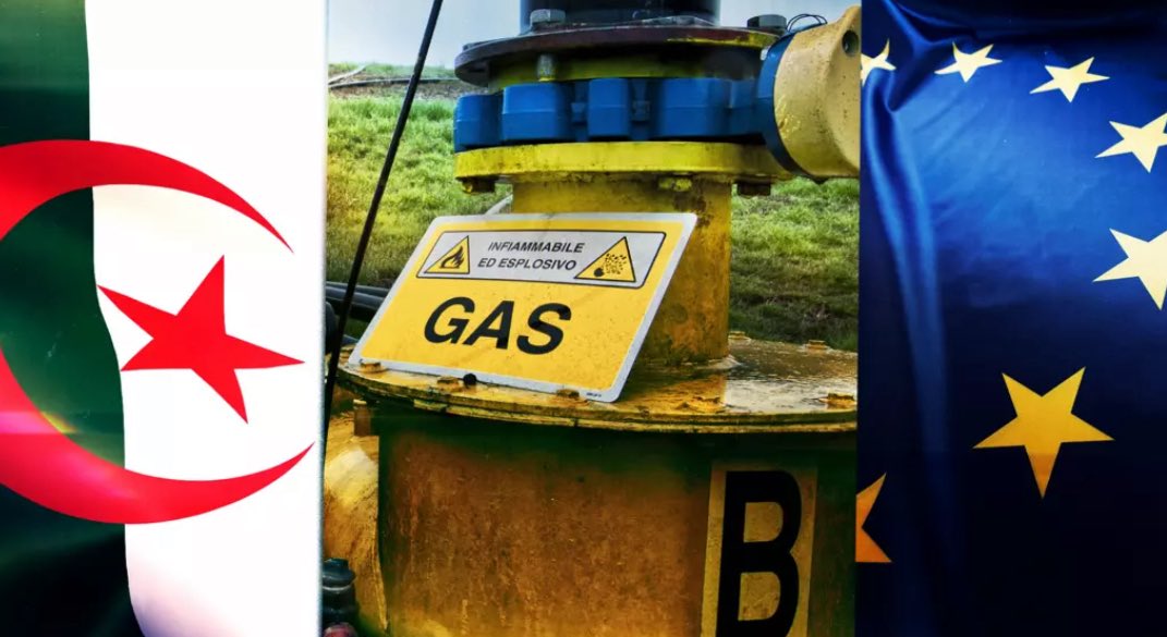 Africa News Now 🗞️ tweet media