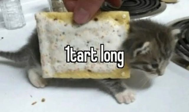 i drink soup tweet media