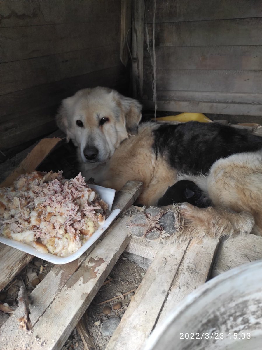 Beylikdüzü Arazi Canları tweet media