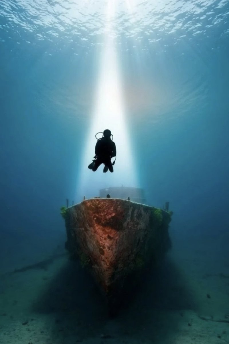 Engin Akyürek Etkinlik tweet media