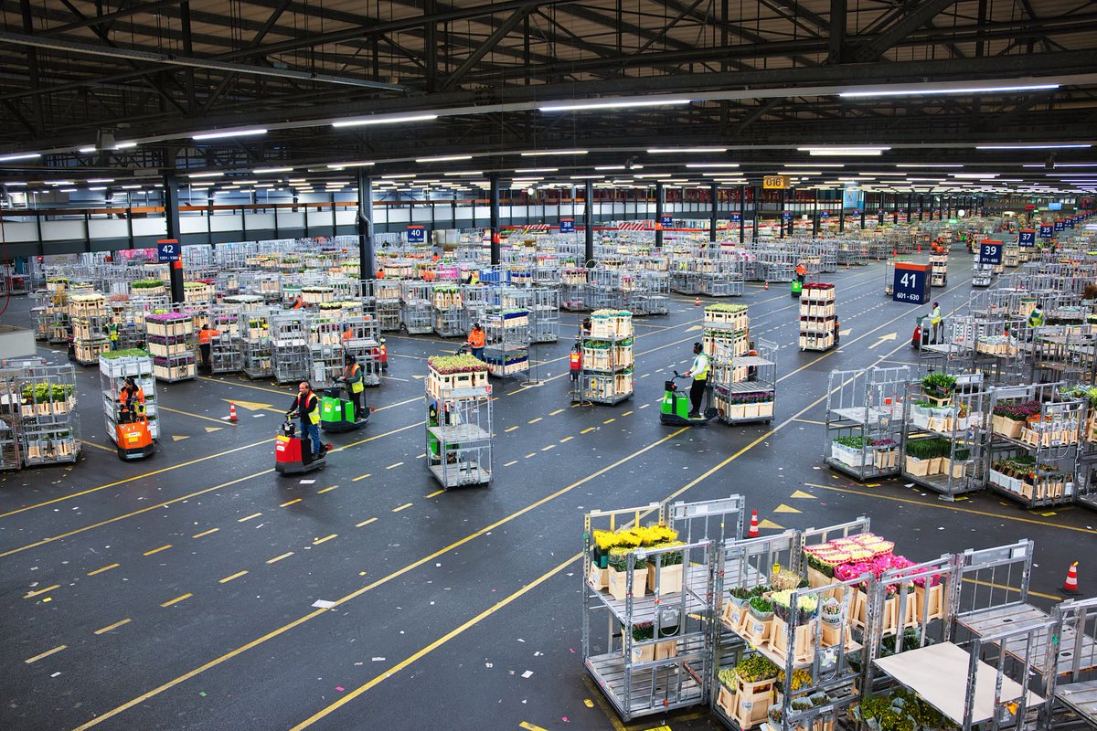 Robbert Leusink tweet media