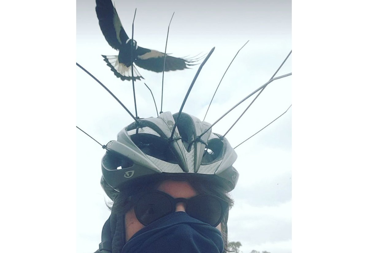 Guilherme. tweet media